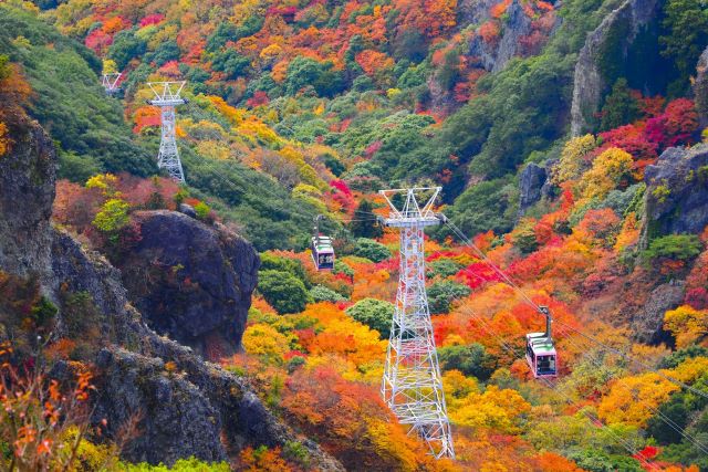 Kankakei with autumn leaves