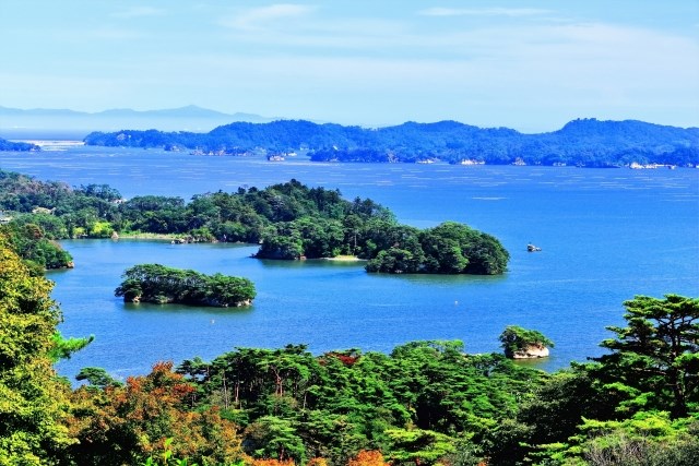 Matsushima in Summer