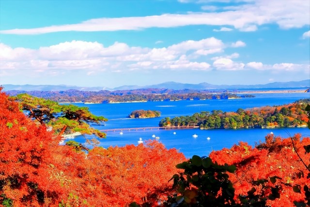 秋の松島