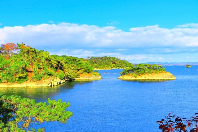 松島の全景