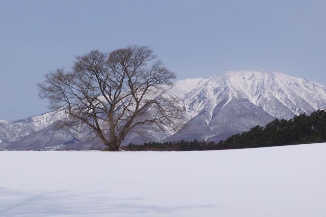 冬天的小岩井农场