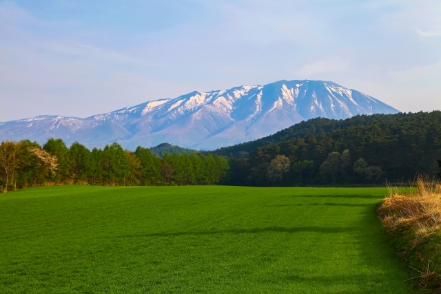 新緑の小岩井農場