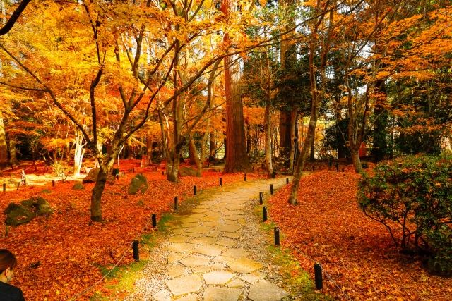 The Garden of Entsuin Temple