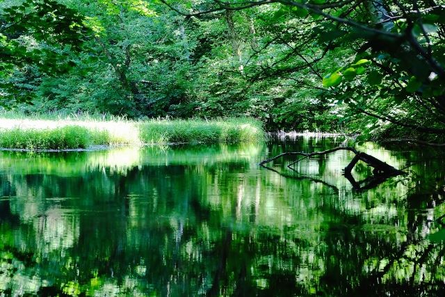 Otowa Pond