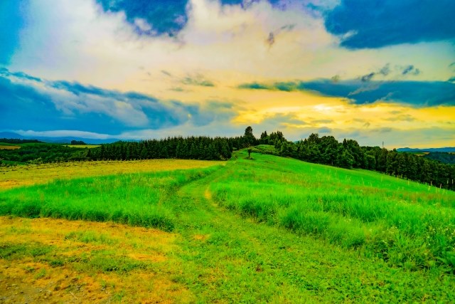 Sunset in Furano