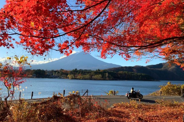 山中湖全景