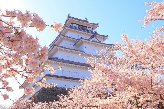 春の桜の鶴ヶ城