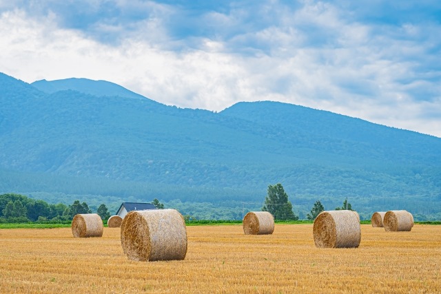 The Land of Furano