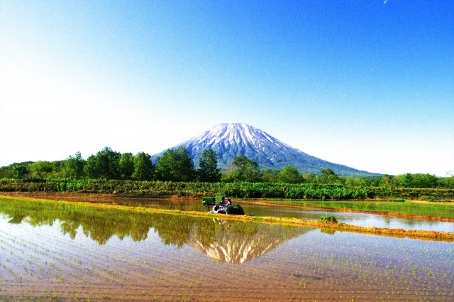 新雪谷田园风光