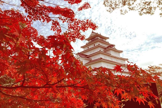 Tsuruga Castle with autumn leaves