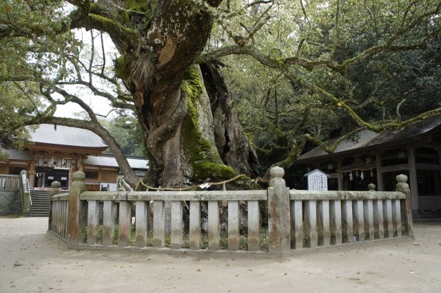 しまなみ海道神社