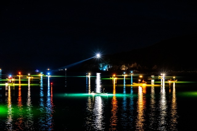 Shimanto River glass eel fishing