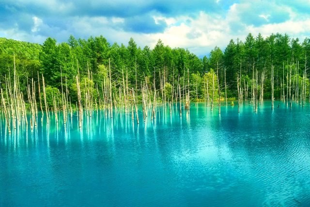 Shirokane Blue Pond