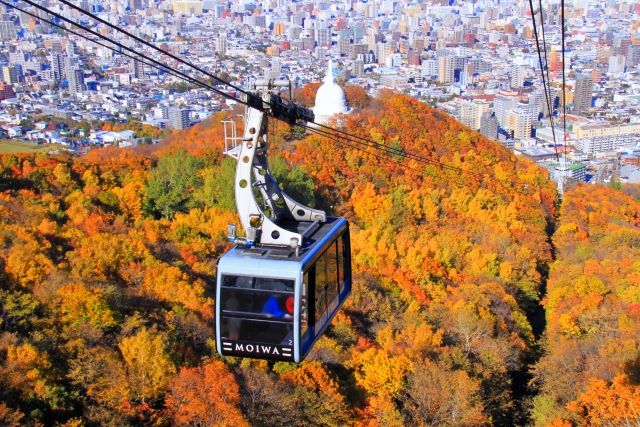 Autumn leaves of Mt. Moiwa