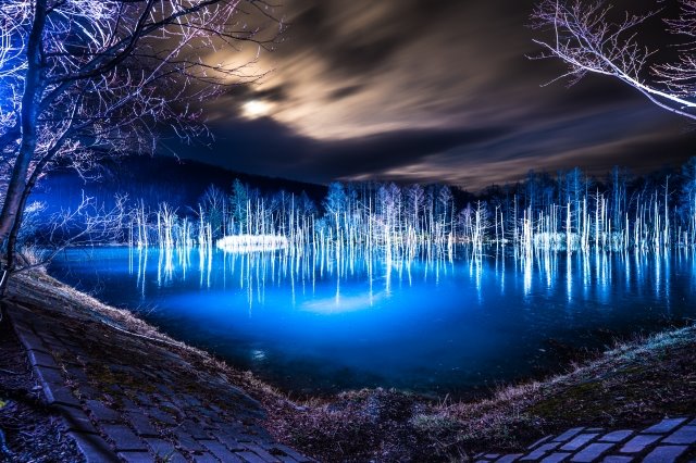 Shirokane Blue Pond Illumination