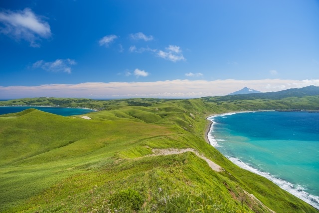 礼文島の岬