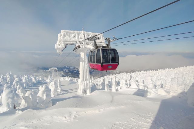 Zao Ropeway and Frost-covered trees