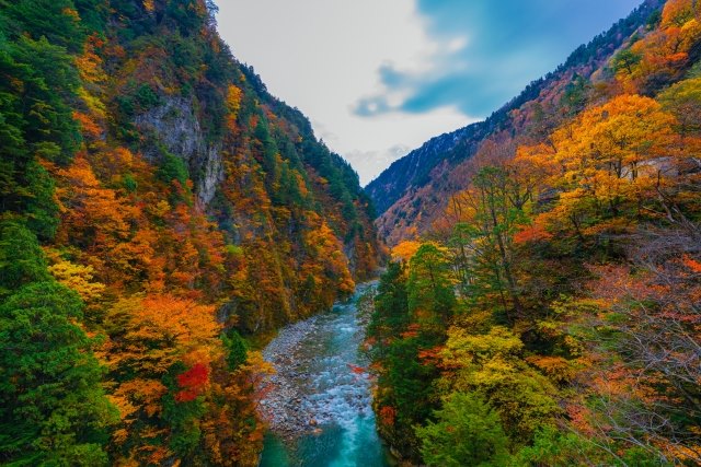 Autumn Foliage in Kurobe Gorge