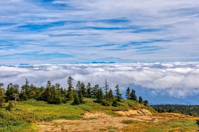 Panorama of Shiga Kogen