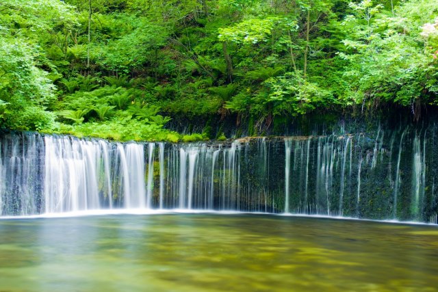 白糸の滝