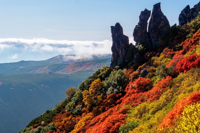 層雲峽秋葉