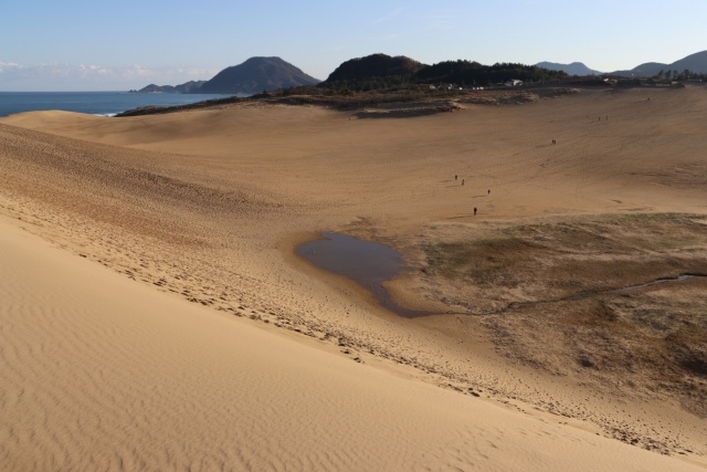 Oasis of Tottori Sand Dunes