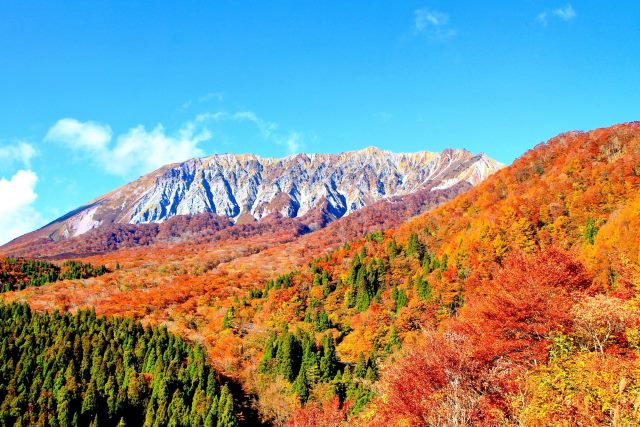 大山的全景