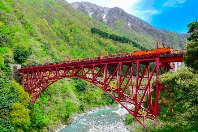 Fresh Greenery in Kurobe Gorge