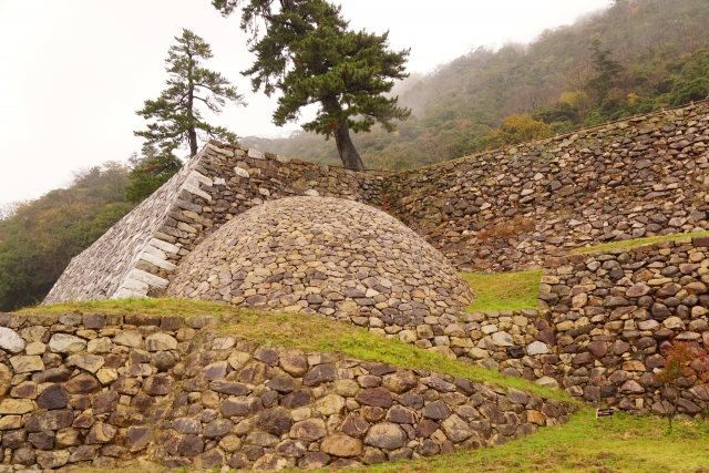 Tottori Castle