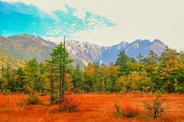 上高地の紅葉