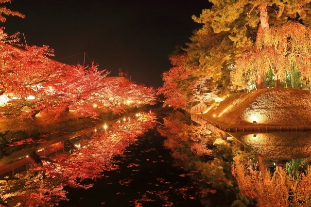 Autumn Leaves at Hirosaki Castle