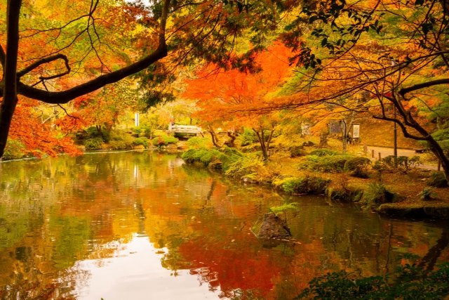 Autumn leaves at Naritasan Shinshoji Temple