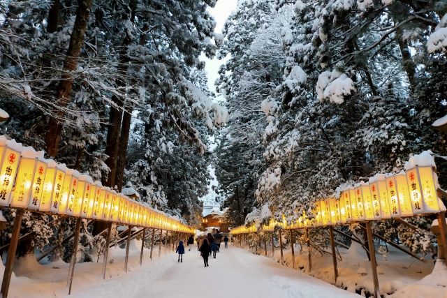 Approach to Yahiko Shrine