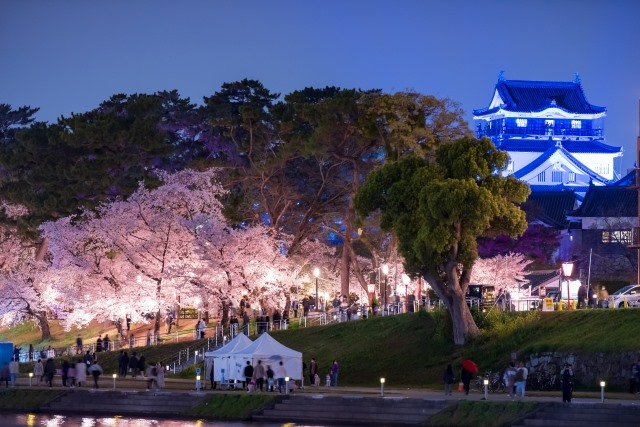 Okazaki Castle