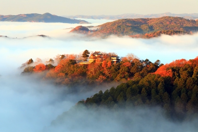 Bitchu Matsuyama Castle