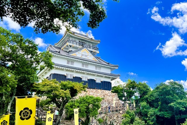 Gifu Castle