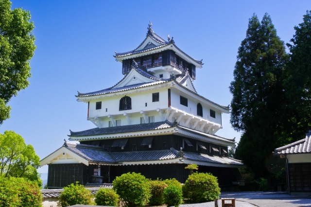 Iwakuni Castle