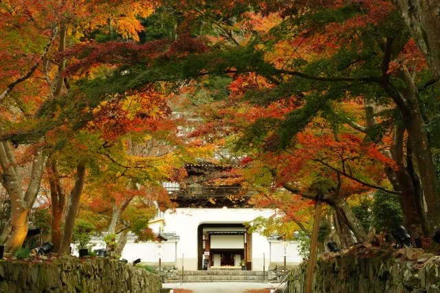 Koshoji Temple