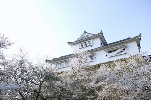 Tsuyama Castle