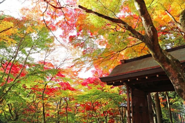 Arima Onsen