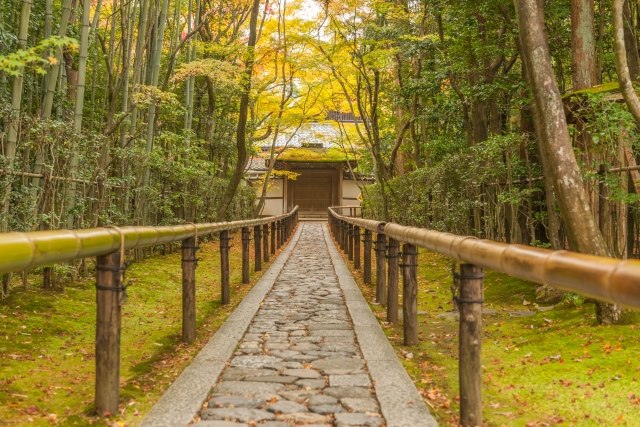 大徳寺の高桐院