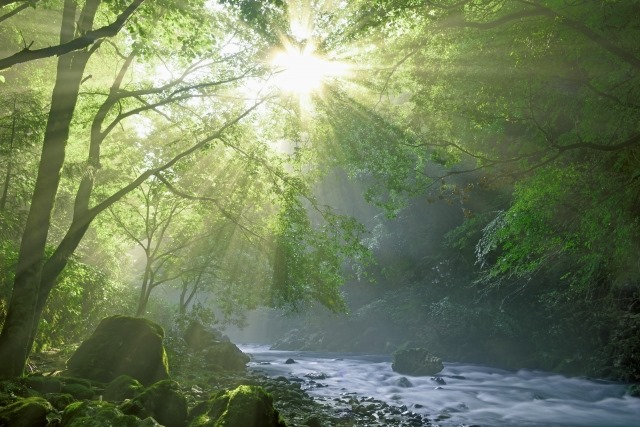 엔나가와의 복류수(円原川の伏流水)