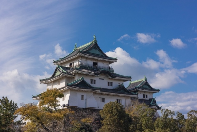 Wakayama Castle