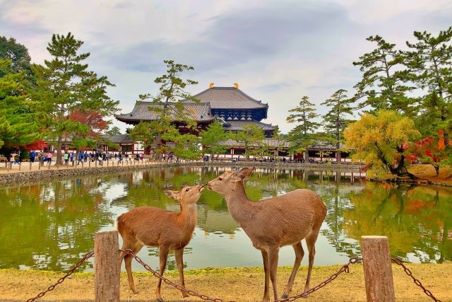 나라공원