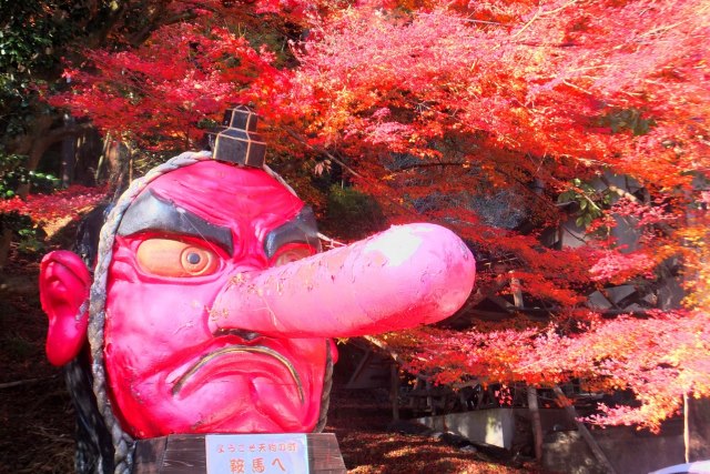 Tengu at Kurama Temple