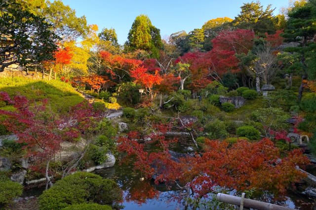 吉城園