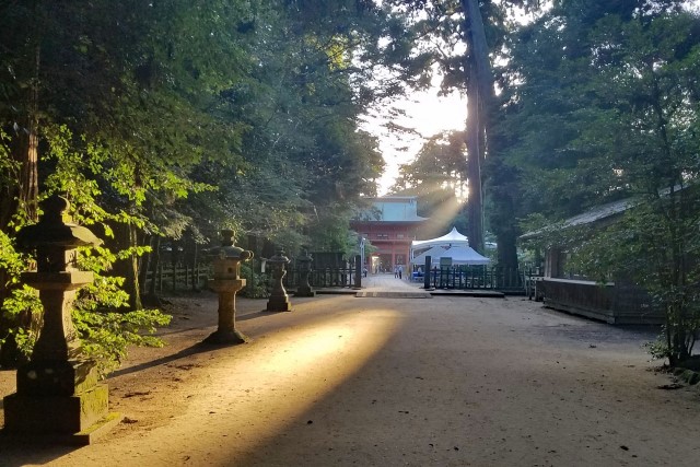 Kashima Shrine's Approach