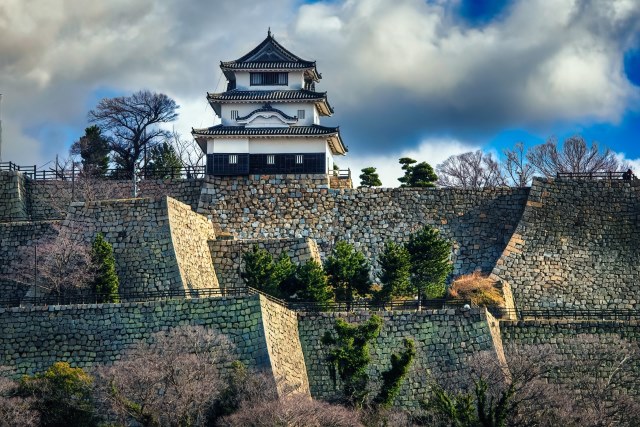 Marugame Castle (Marugamejyo)