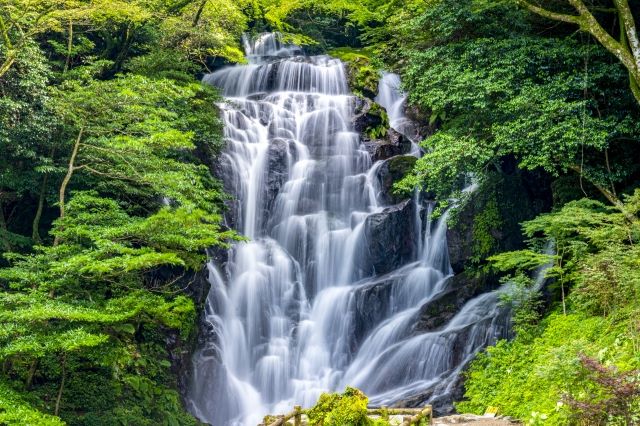 白糸の滝