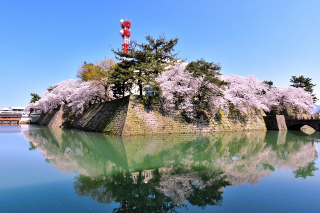 福井城址（Fukui Castle Ruins）